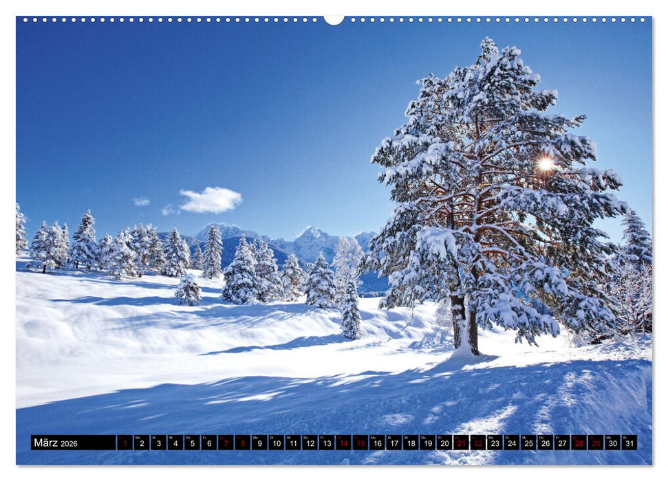 Wintertage in den Bergen (CALVENDO Wandkalender 2026)