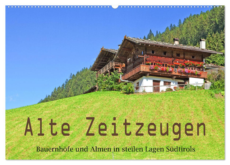 Alte Zeitzeugen (CALVENDO Wandkalender 2026)