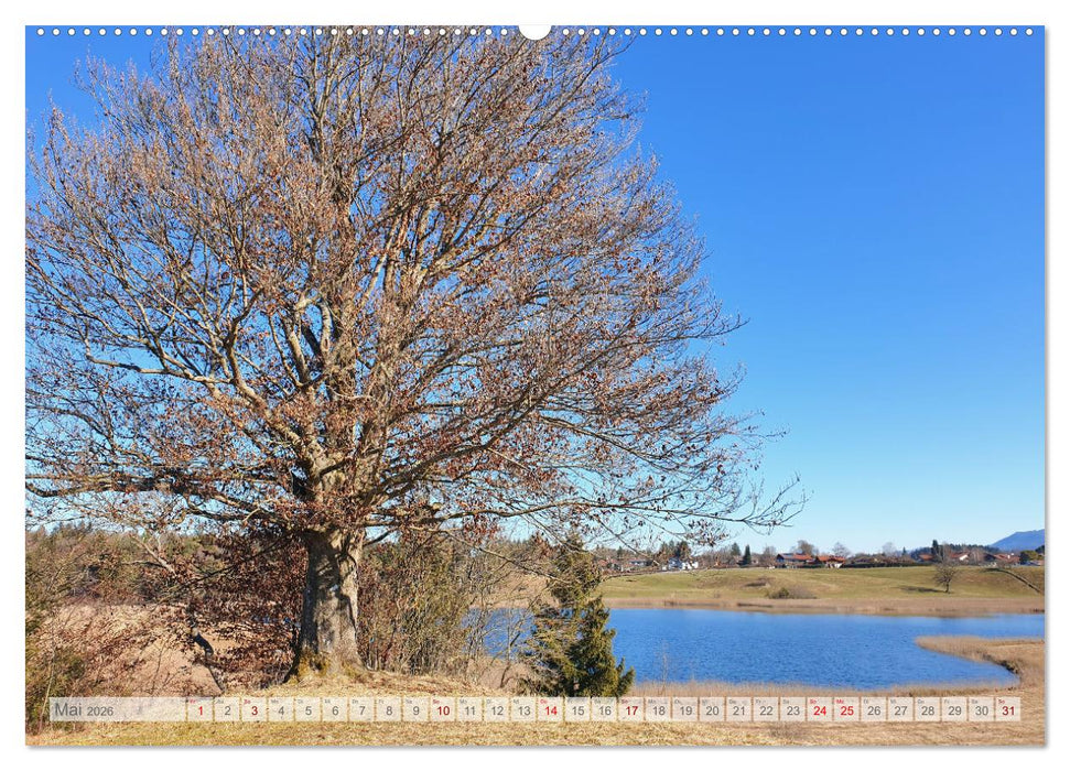 Seen am Alpenrand - Bilderbuchlandschaften in Oberbayern (CALVENDO Wandkalender 2026)