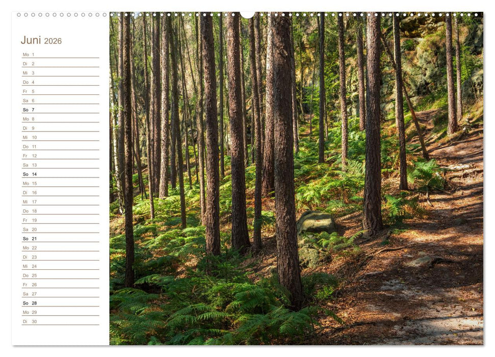 Zschand Perspektiven - Elbsandstein (CALVENDO Premium Wandkalender 2026)