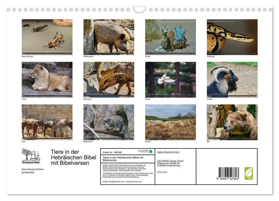Tiere in der Hebräischen Bibel mit Bibelversen (CALVENDO Wandkalender 2026)