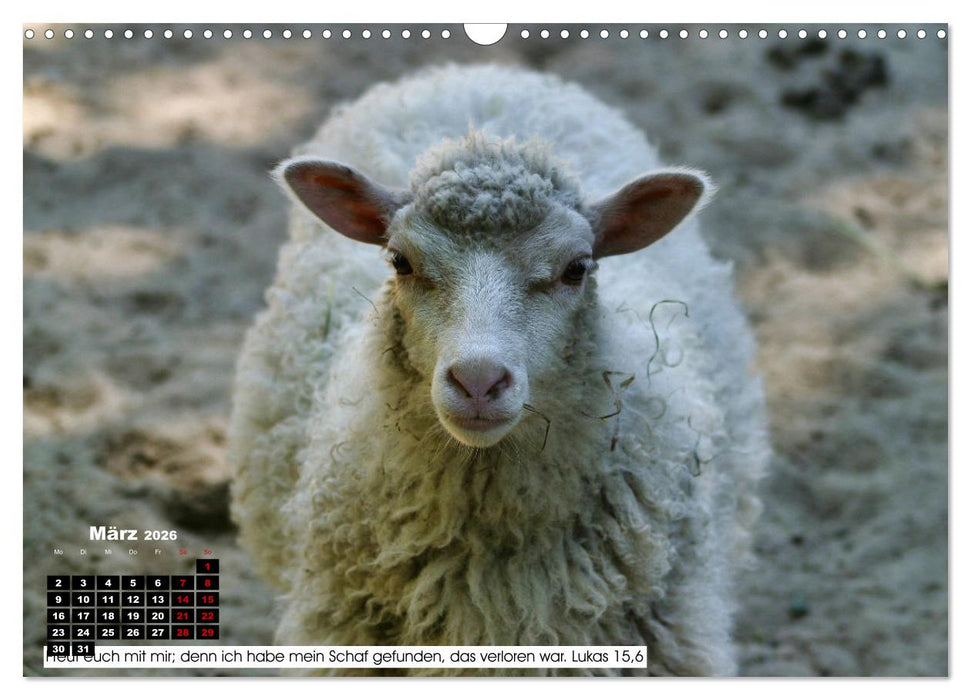 Tiere im Neuen Testament mit Bibelversen (CALVENDO Wandkalender 2026)
