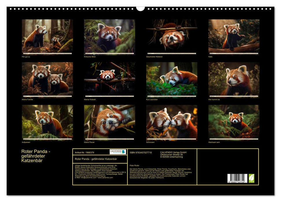 Roter Panda - gefährdeter Katzenbär (CALVENDO Wandkalender 2026)