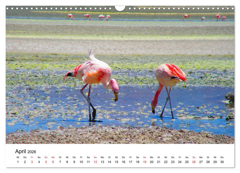 Südamerika - Vom Reich der Inka bis nach Patagonien (CALVENDO Wandkalender 2026)