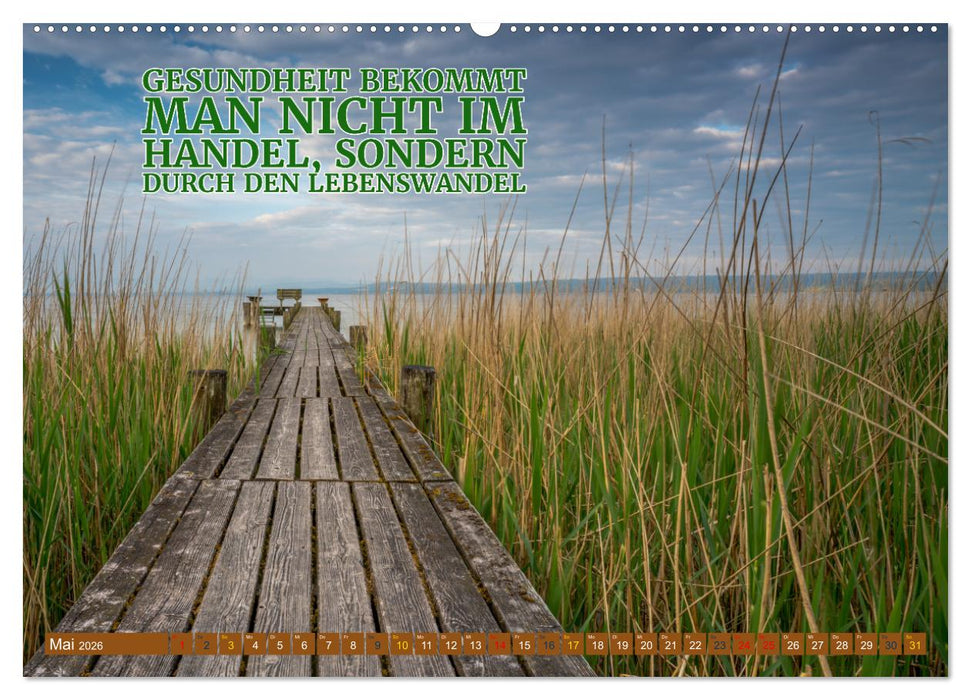 Achtsamkeit Gesundheit mit coolen Sprüchen zum Wohlbefinden (CALVENDO Wandkalender 2026)