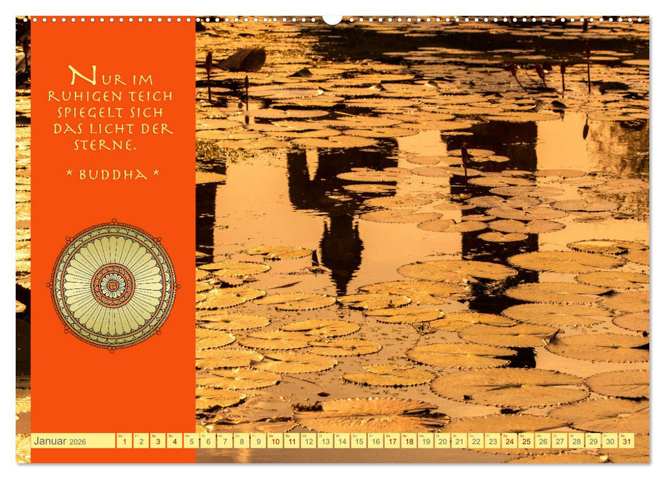 Buddhas Zitate Wege zur Erleuchtung (CALVENDO Premium Wandkalender 2026)