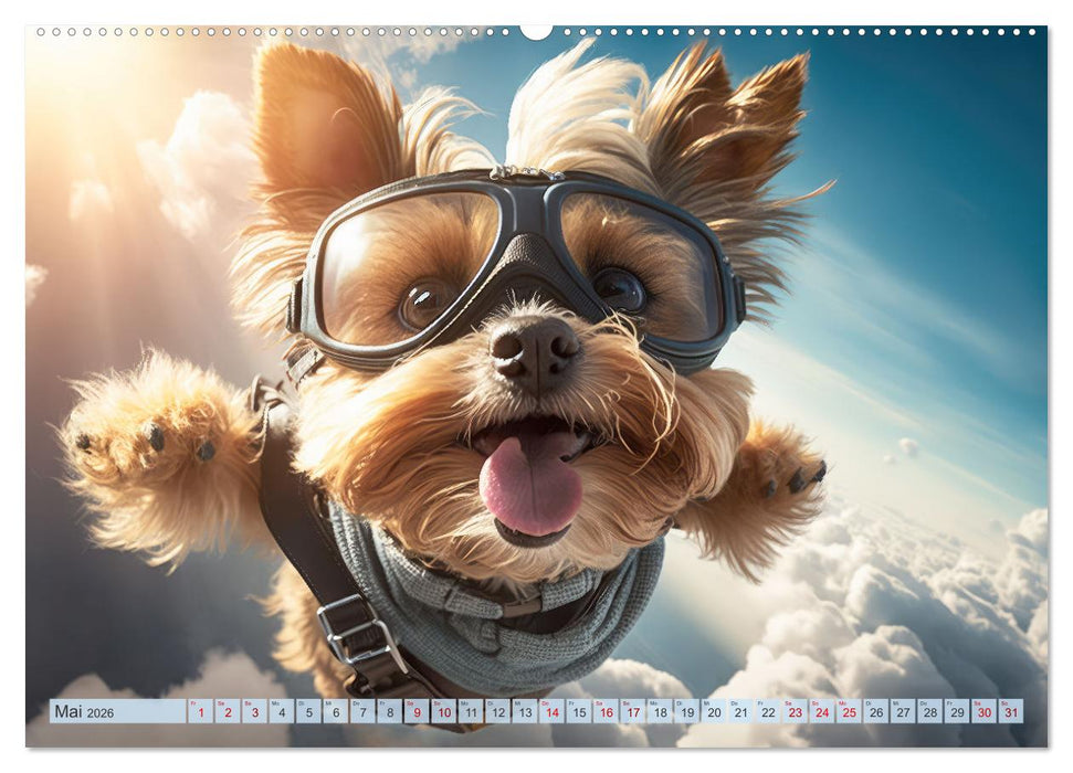 Hunde Skydiving (CALVENDO Premium Wandkalender 2026)