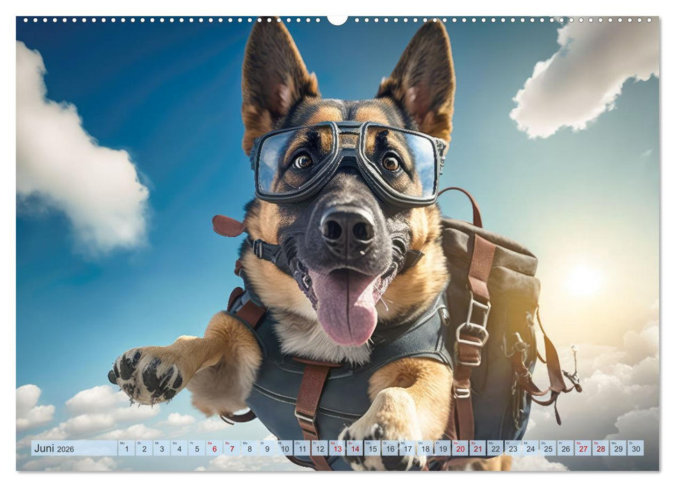 Hunde Skydiving (CALVENDO Premium Wandkalender 2026)