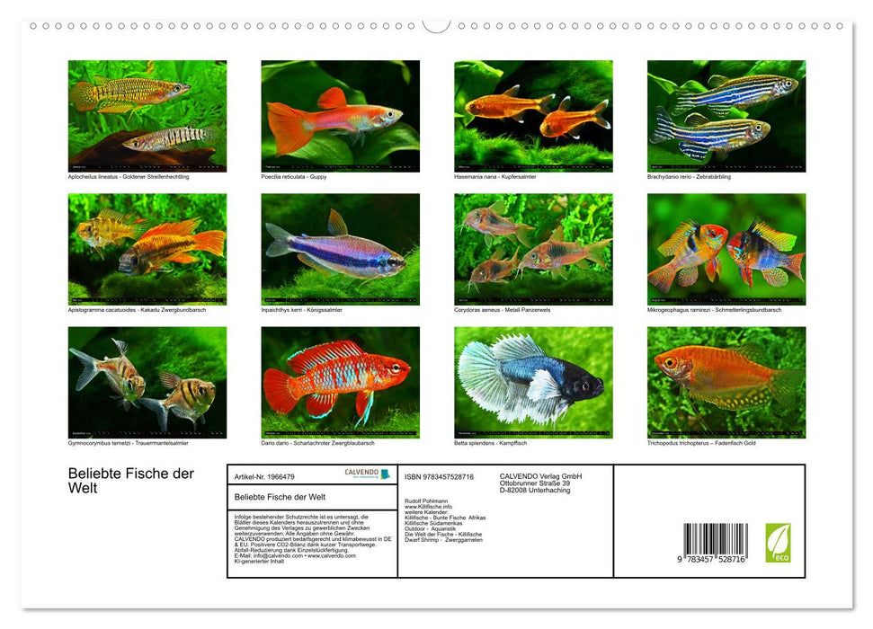 Beliebte Fische der Welt (CALVENDO Premium Wandkalender 2026)