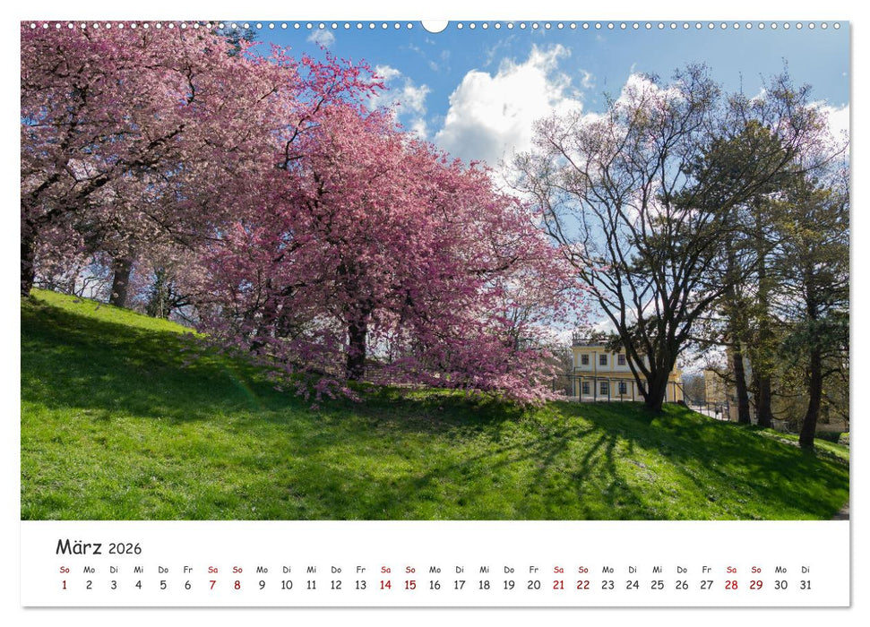 Kassel - Natur pur (CALVENDO Premium Wandkalender 2026)