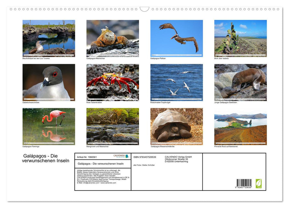 Galápagos - Die verwunschenen Inseln (CALVENDO Wandkalender 2026)