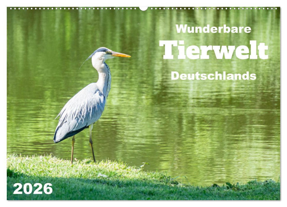 Wunderbare Tierwelt Deutschlands (CALVENDO Wandkalender 2026)