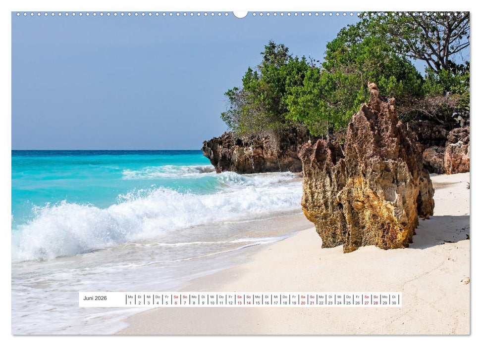 Sansibar - Sonne, Sand, Meer (CALVENDO Premium Wandkalender 2026)