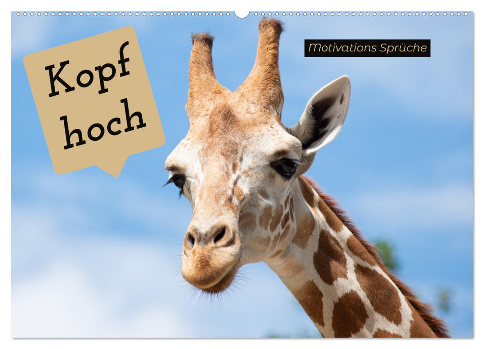Kopf hoch Motivations Sprüche (CALVENDO Wandkalender 2026)