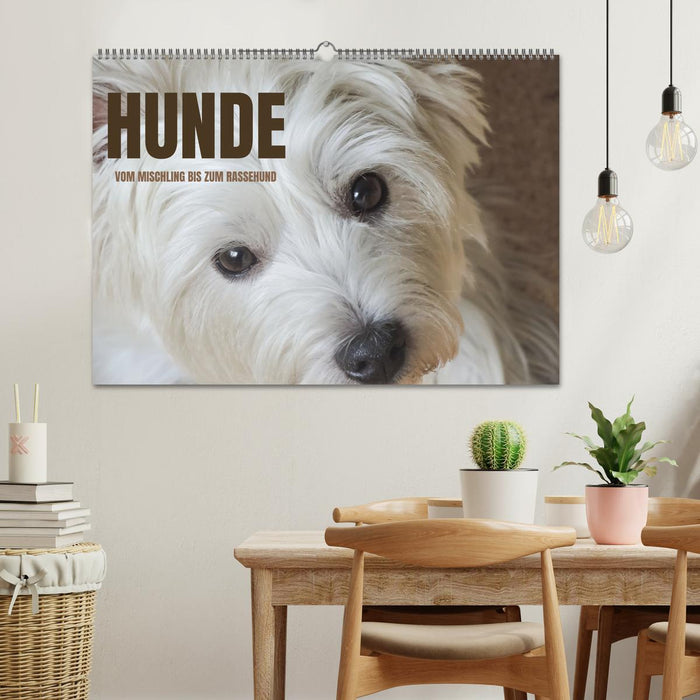 Hunde - vom Mischling bis zum Rassehund (CALVENDO Wandkalender 2026)