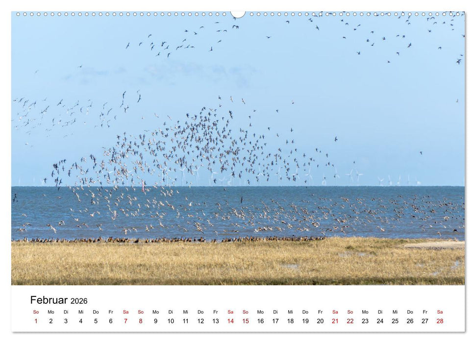 Schöne Landschaften unserer Welt (CALVENDO Premium Wandkalender 2026)