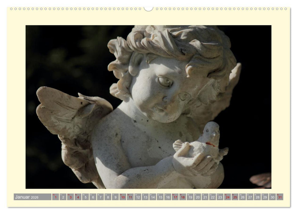 Die Wärme der Engel (CALVENDO Premium Wandkalender 2026)