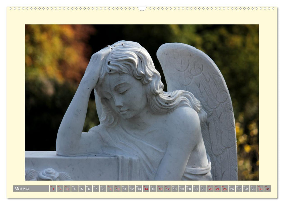 Die Wärme der Engel (CALVENDO Premium Wandkalender 2026)