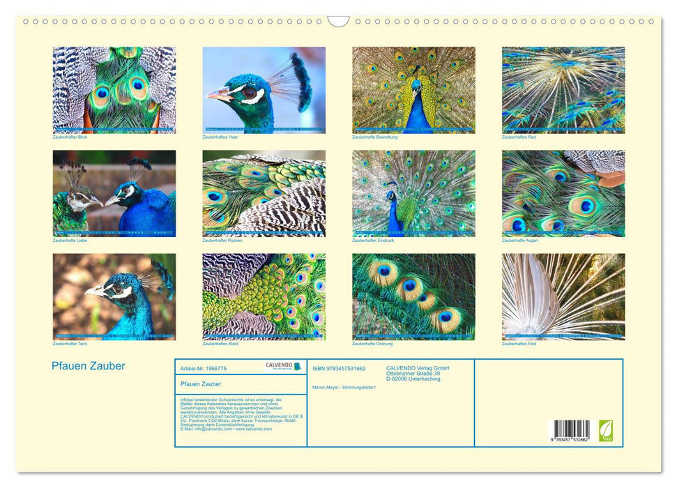 Pfauen Zauber (CALVENDO Wandkalender 2026)