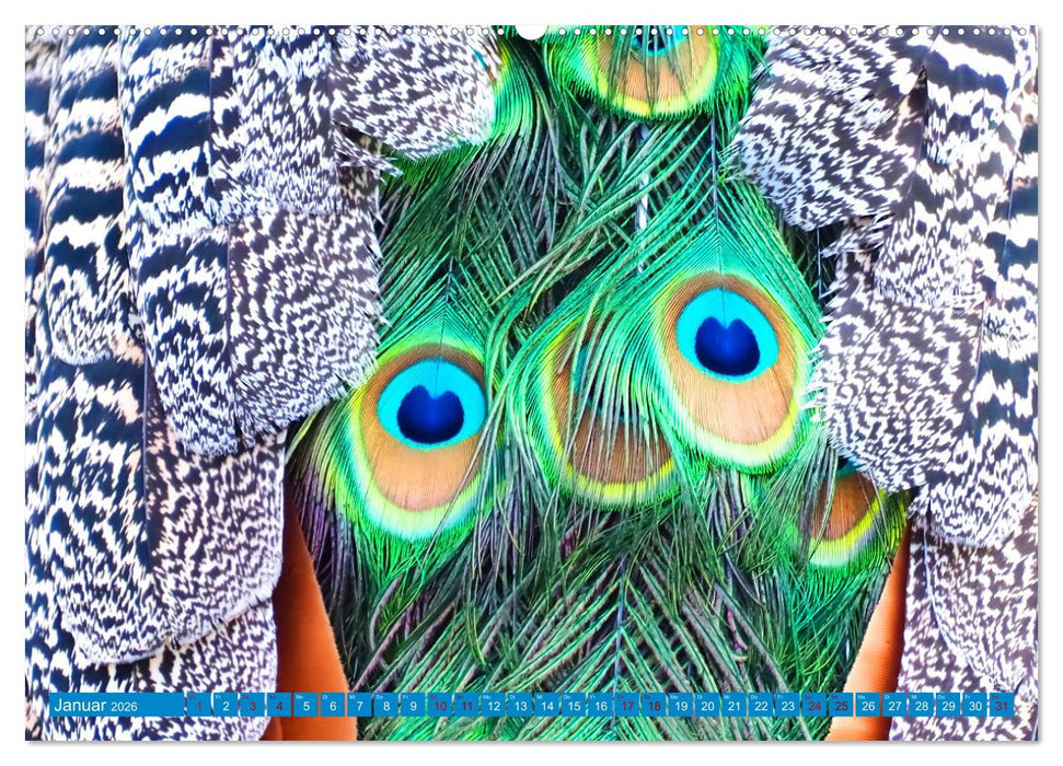 Pfauen Zauber (CALVENDO Wandkalender 2026)