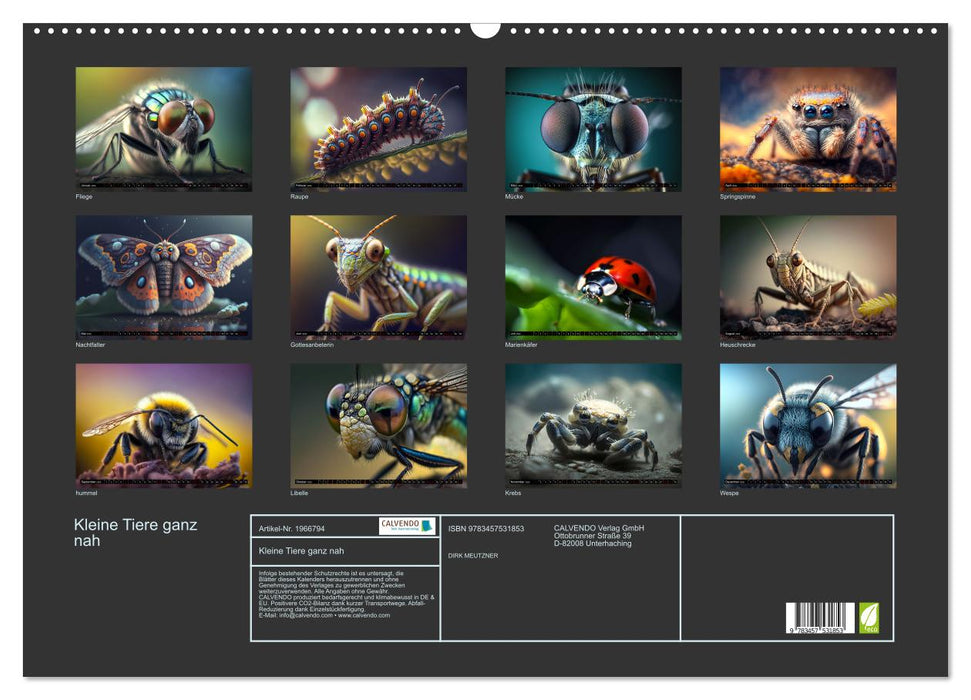 Kleine Tiere ganz nah (CALVENDO Wandkalender 2026)