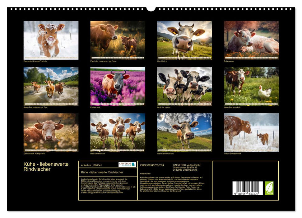 Kühe - liebenswerte Rindviecher (CALVENDO Premium Wandkalender 2026)