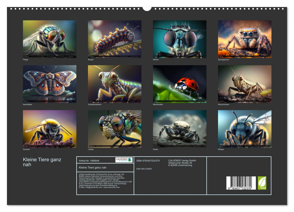 Kleine Tiere ganz nah (CALVENDO Premium Wandkalender 2026)