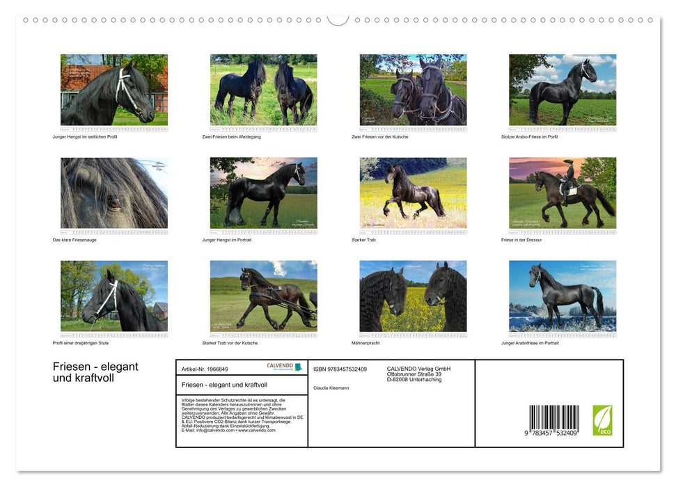 Friesen - elegant und kraftvoll (CALVENDO Premium Wandkalender 2026)