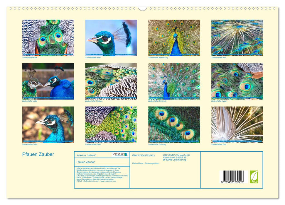 Pfauen Zauber (CALVENDO Premium Wandkalender 2026)
