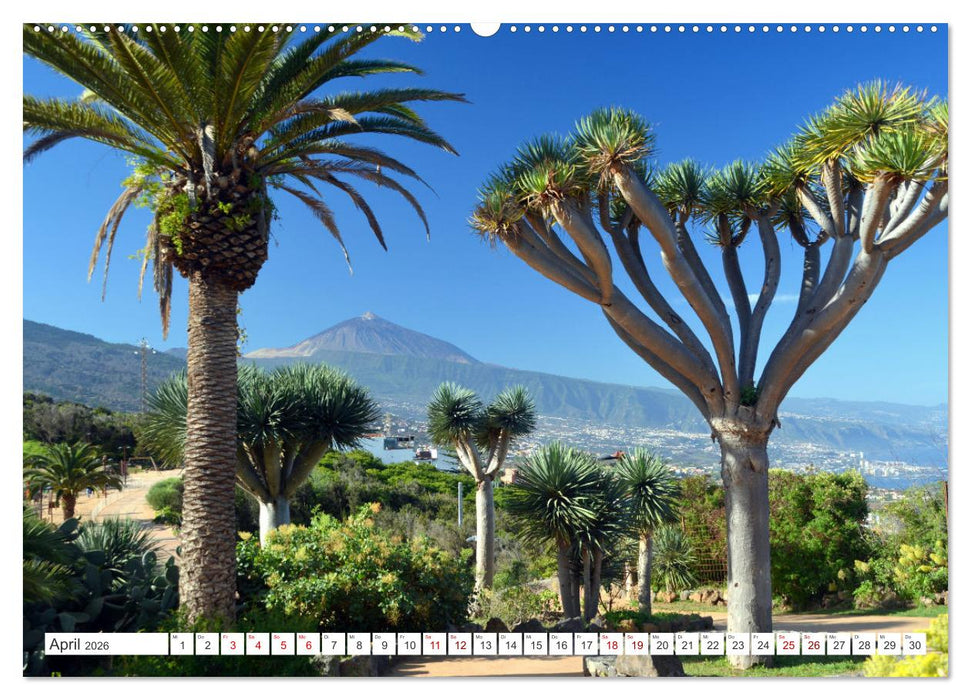 Teneriffa Insel der Glückseligen (CALVENDO Wandkalender 2026)