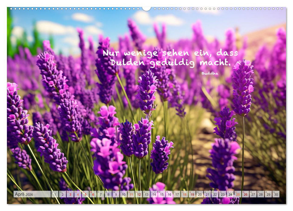 Meditation und innerer Frieden (CALVENDO Premium Wandkalender 2026)