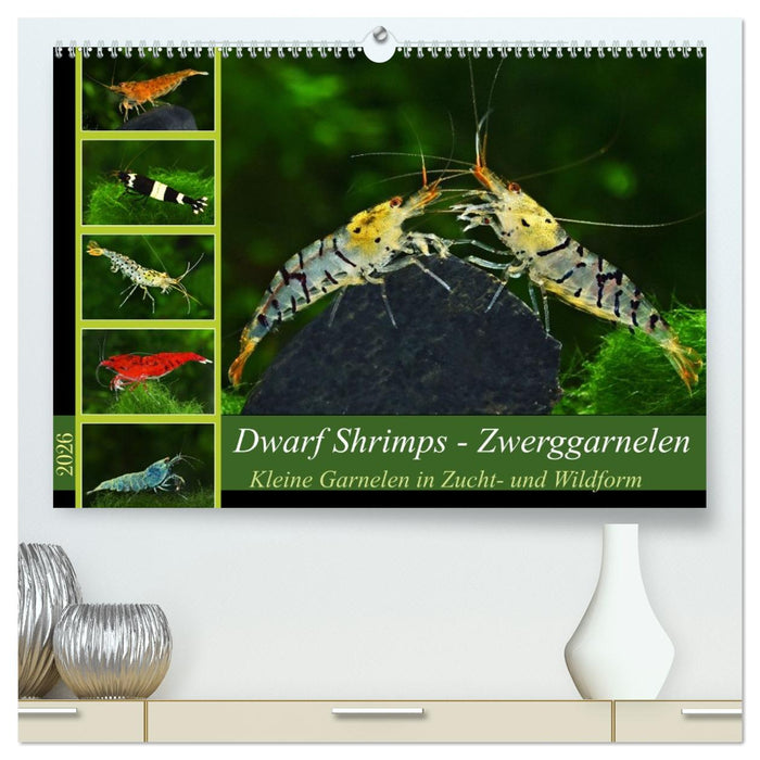 Dwarf Shrimps - Zwerggarnelen (CALVENDO Premium Wandkalender 2026)