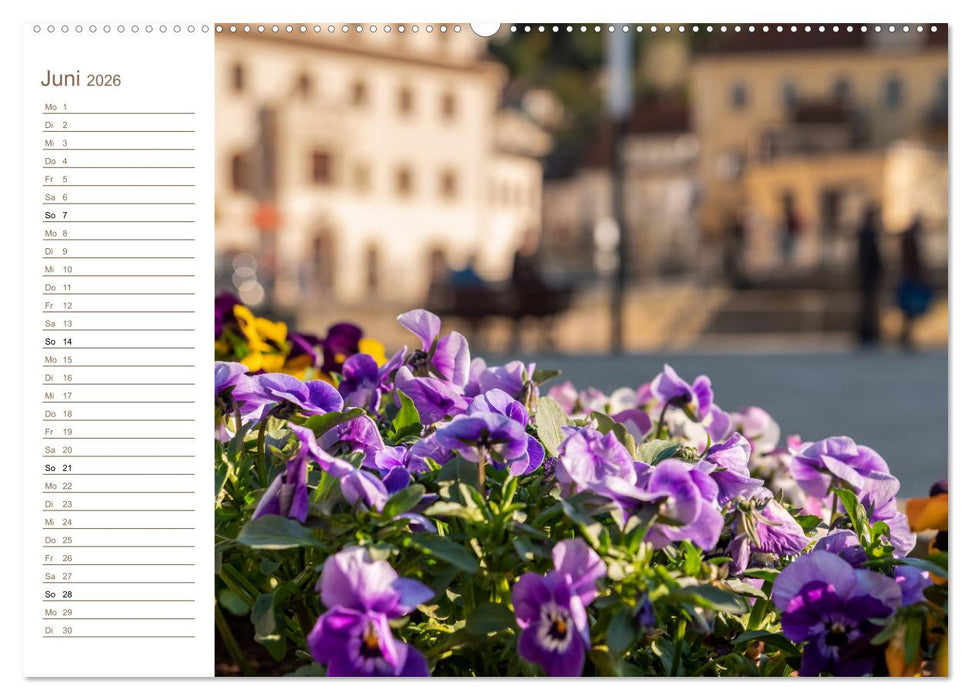 Königstein Perspektiven - Elbsandstein (CALVENDO Wandkalender 2026)