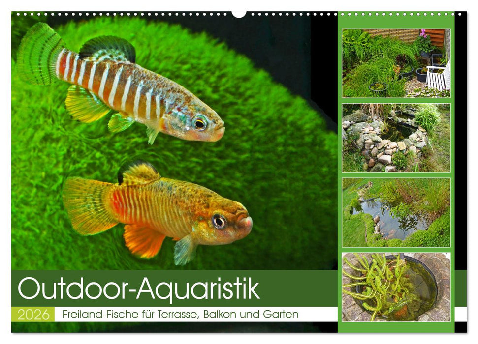 Outdoor-Aquaristik (CALVENDO Wandkalender 2026)