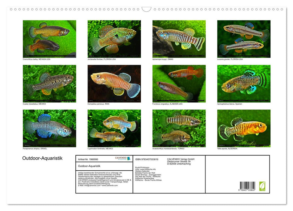 Outdoor-Aquaristik (CALVENDO Wandkalender 2026)
