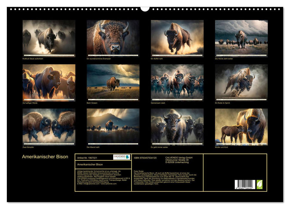 Amerikanischer Bison (CALVENDO Wandkalender 2026)