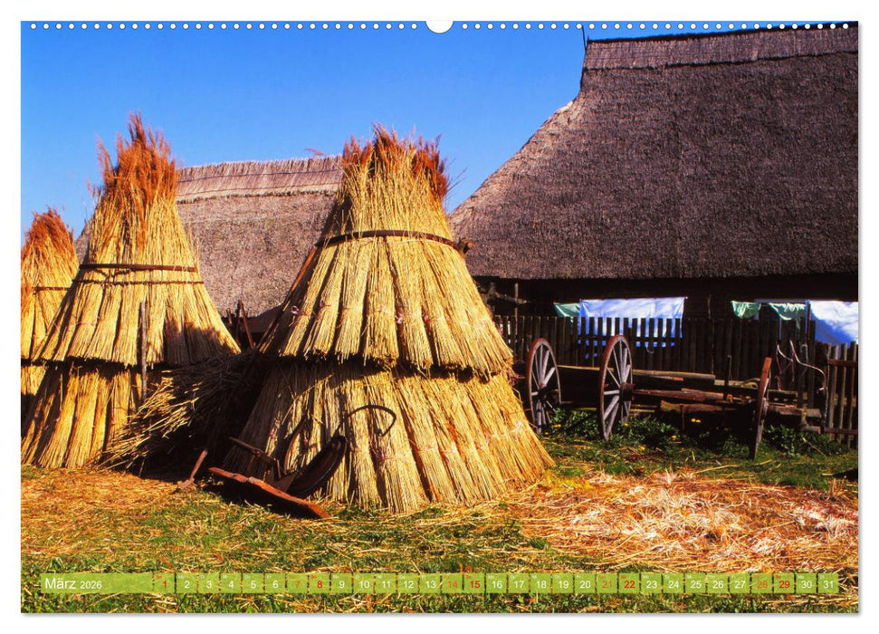 Landwirtschaft Natur pur Mecklenburg-Vorpommern (CALVENDO Wandkalender 2026)