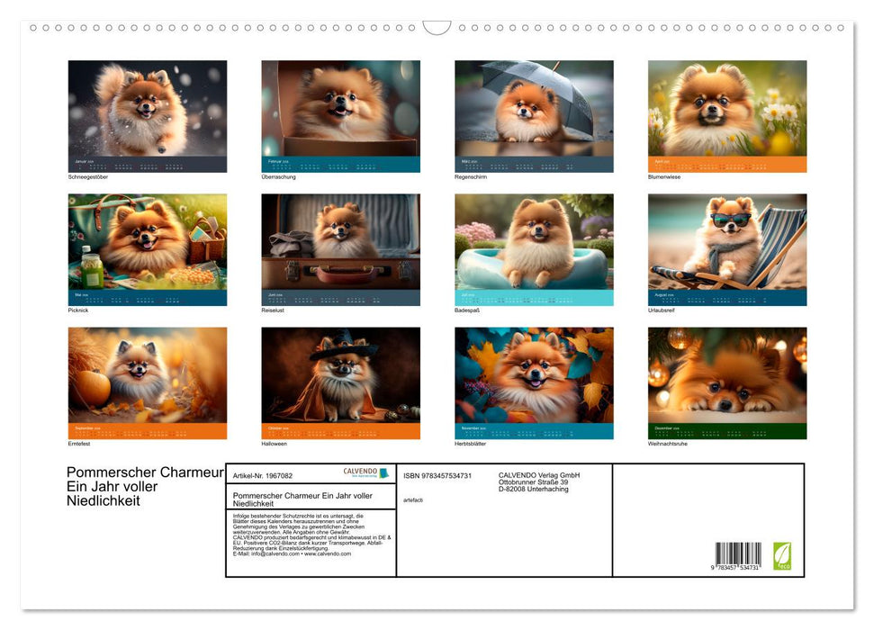 Pommerscher Charmeur Ein Jahr voller Niedlichkeit (CALVENDO Wandkalender 2026)