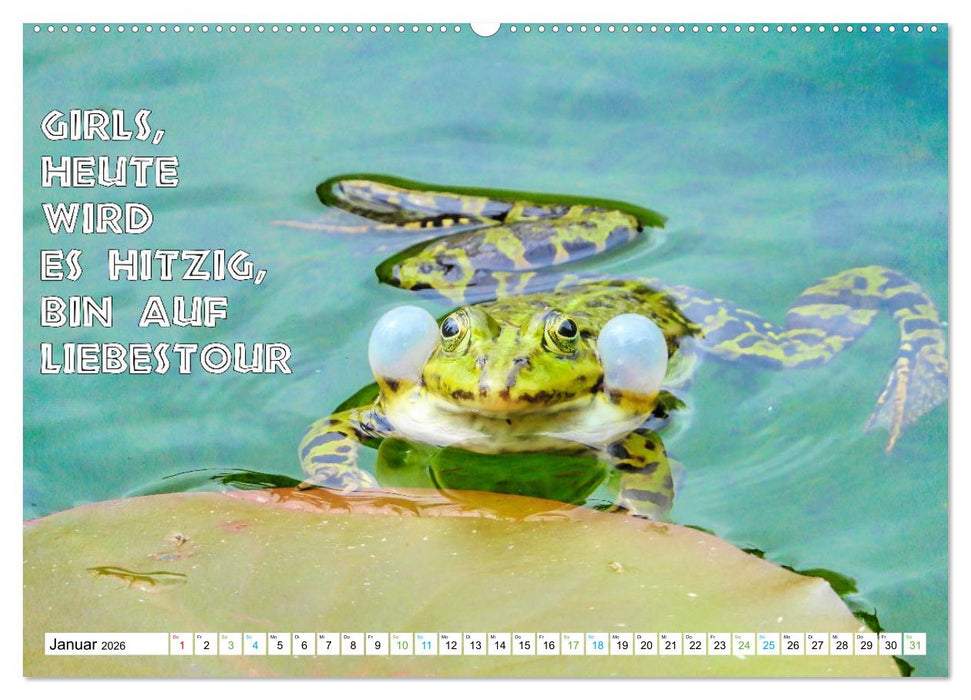 Frosch quakt Sprüche (CALVENDO Wandkalender 2026)