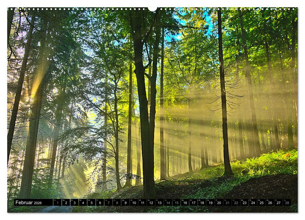 Europa durchwandern (CALVENDO Wandkalender 2026)