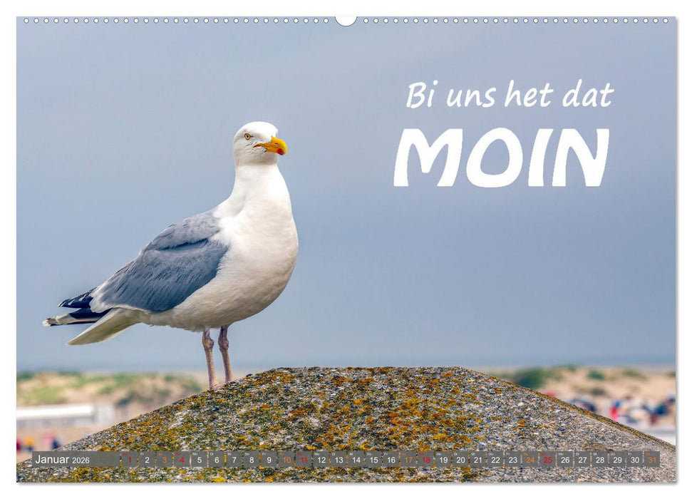 De Sprökje Kalenner "We proten platt" (CALVENDO Wandkalender 2026)