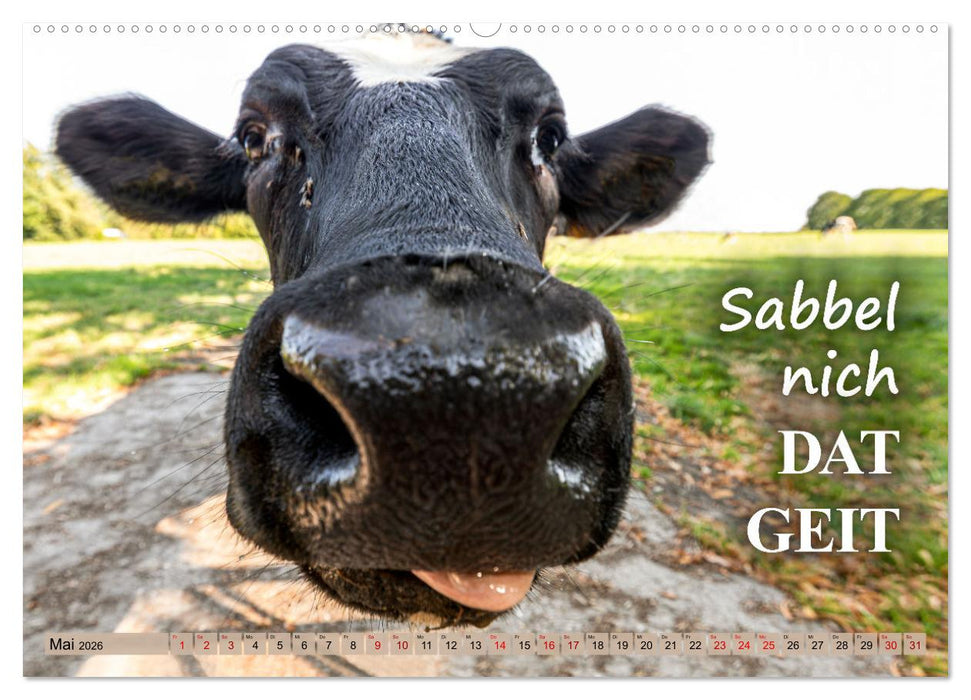 De Sprökje Kalenner "We proten platt" (CALVENDO Wandkalender 2026)