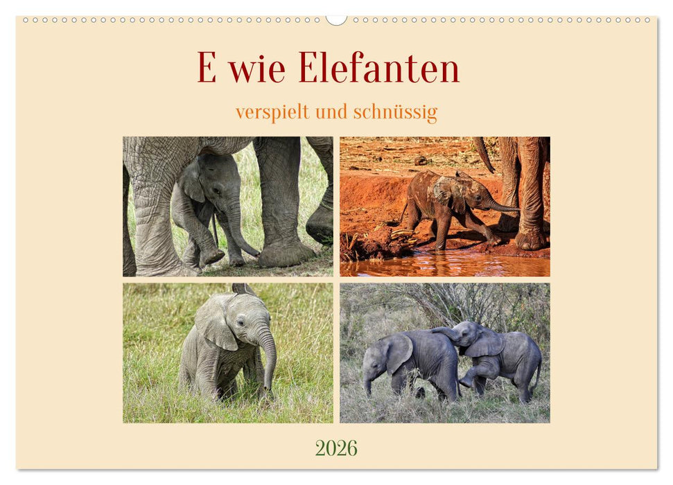 E wie Elefanten - verspielt und schnüssig (CALVENDO Wandkalender 2026)