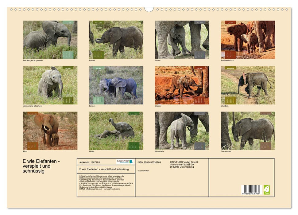E wie Elefanten - verspielt und schnüssig (CALVENDO Wandkalender 2026)