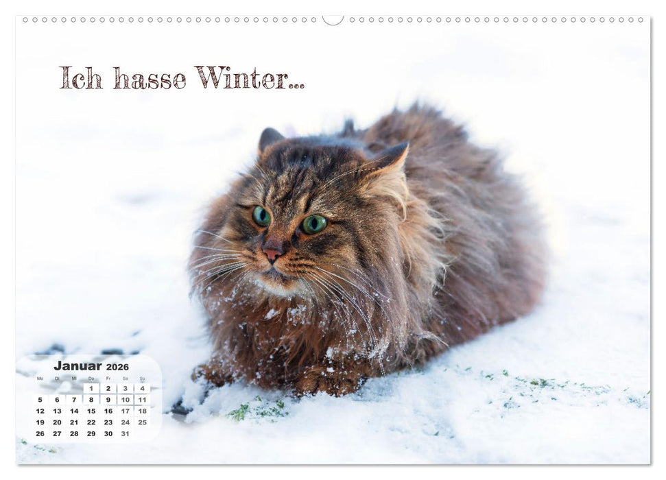 Tierisch und Heiter - Das Leben geht weiter 2026 (CALVENDO Wandkalender 2026)