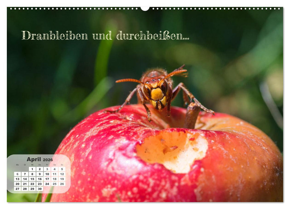 Tierisch und Heiter - Das Leben geht weiter 2026 (CALVENDO Wandkalender 2026)