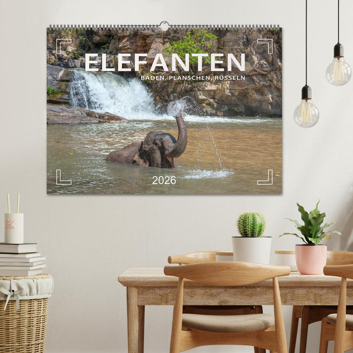 Elefanten - Baden, Planschen, Rüsseln (CALVENDO Wandkalender 2026)