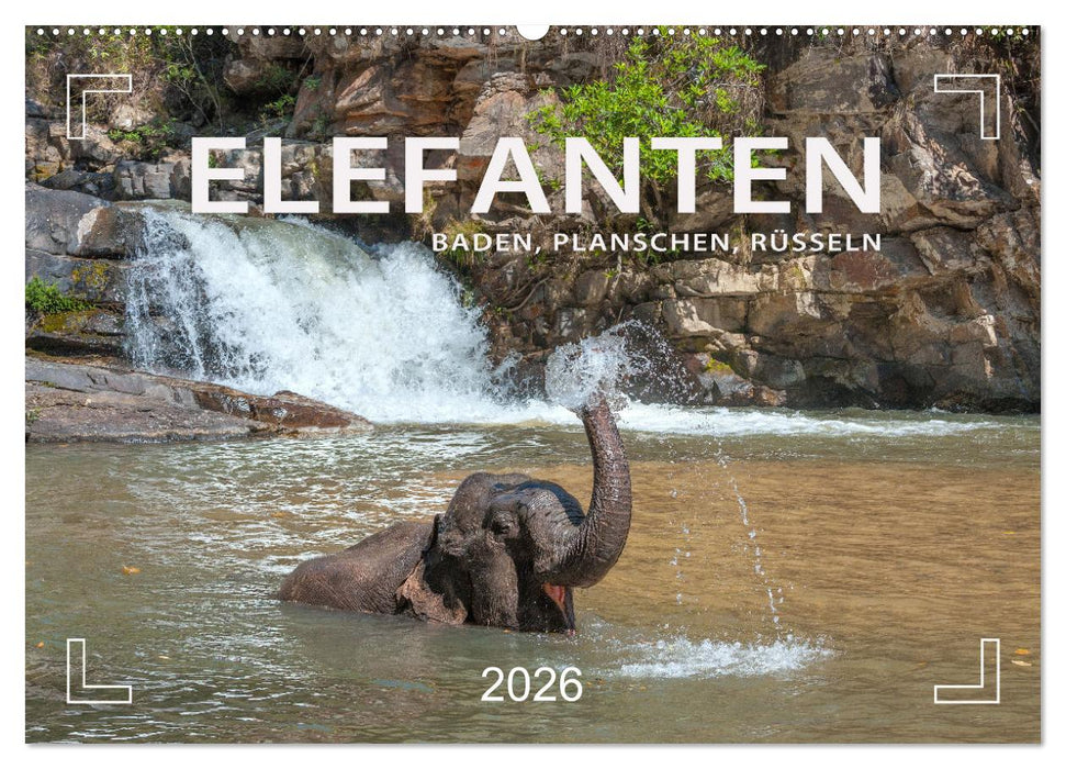 Elefanten - Baden, Planschen, Rüsseln (CALVENDO Wandkalender 2026)