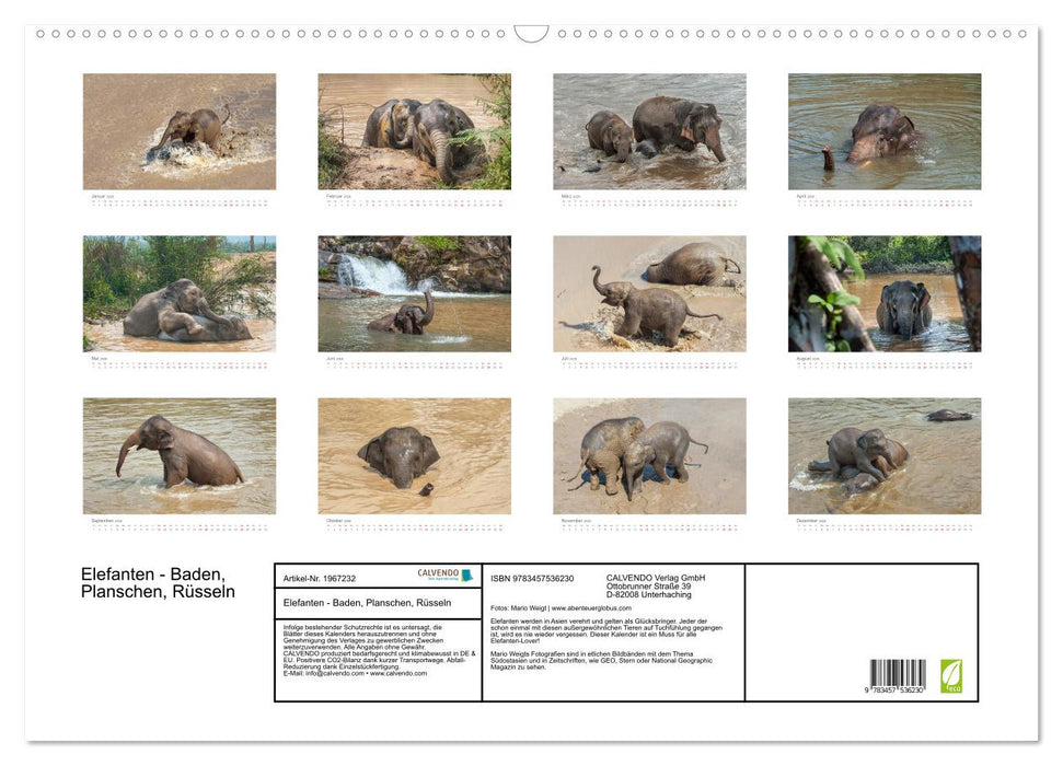 Elefanten - Baden, Planschen, Rüsseln (CALVENDO Wandkalender 2026)
