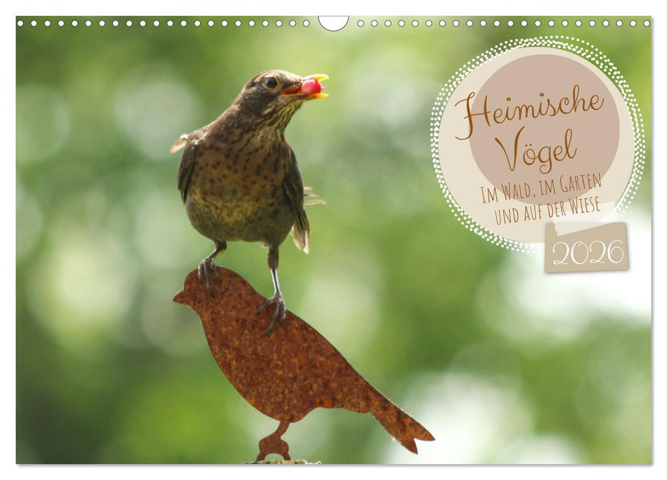 Heimische Vögel - Im Wald, im Garten und auf der Wiese (CALVENDO Wandkalender 2026)